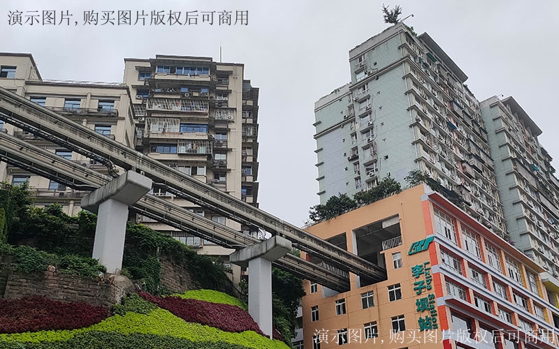 1585034717301699.jpg 10.jpg